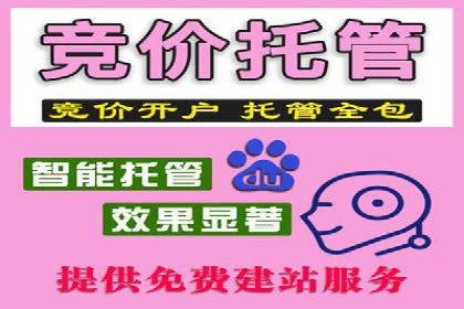 案例剖析：关键词竞价排名成功之道